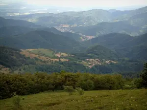 Grote Ballon - De top van de berg, met uitzicht op de omringende heuvels (Regionale Natuurpark van de Ballons des Vosges)