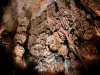 Grotte des Demoiselles - Concrétions de la grande salle