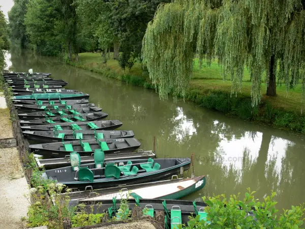 Das Grüne Venedig des Sumpfgebietes des Poitou - Führer für Tourismus, Urlaub & Wochenende in den Deux-Sèvres