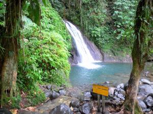 Guadeloupe National Park Tourism Holiday Guide