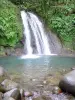Guadeloupe National Park - Écrevisses cascade