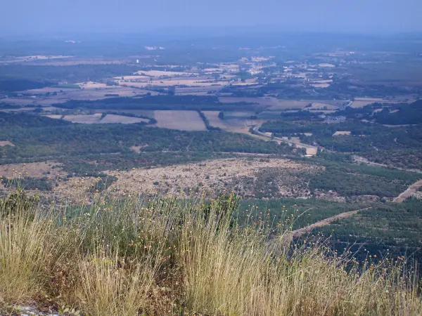 Guidon du Bouquet - Vom Guidon du Bouquet aus (höchste Stelle des Berges Bouquet), Blick auf die Vegetation vorne, die Heide des Gard und die umliegenden Landschaften