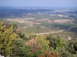 Guidon du Bouquet - Vom Guidon du Bouquet aus (höchste Stelle des Berges Bouquet), Blick auf die Bäume vorne, die Heide des Gard und die umliegenden Landschaften