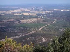 Guidon du Bouquet - Vom Guidon du Bouquet aus (höchste Stelle des Berges Bouquet), Blick auf die Bäume vorne, die Heide des Gard und die umliegenden Landschaften
