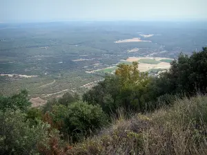 Guidon du Bouquet - Vom Guidon du Bouquet aus (höchste Stelle des Berges Bouquet), Blick auf die Vegetation und die Bäume vorne, die Heide des Gard und die umliegenden Landschaften