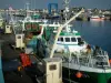 Le Guilvinec - Docks en vissersvaartuigen (trawlers, schepen) met vissers lossen van verse vis