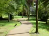 Habitation Clément - Promenade dans la palmeraie du nouveau parc