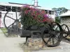 Habitation Clément - Garden machinery and old distillery