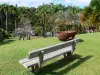 Habitation Clément - Banc avec vue sur la palmeraie du nouveau parc