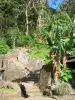 Habitation La Grivelière - Escalier menant au jardin créole
