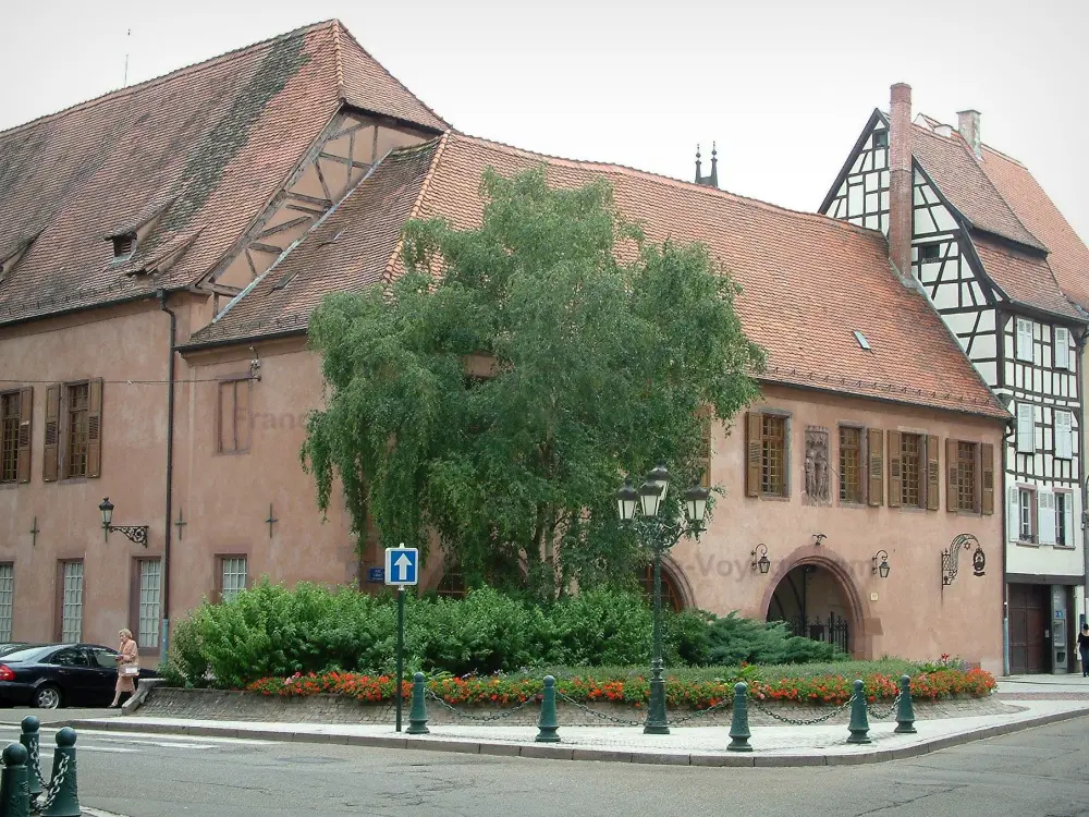 Haguenau - Ancienne douane, maison à colombages, arbre, plantes et fleurs