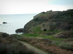 Halbinsel von Crozon - Küste bedeckt mit Heide und Heidekräutern und Meer (Meer Iroise)