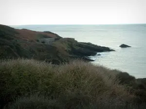 Halbinsel von Crozon - Wilde Küste mit einigen Büschen und Meer (Meer Iroise)