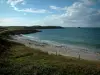 Halbinsel Quiberon - Küsten bedeckt mit Gräsern, Sandstrand und Meer (Atlantischer Ozean)