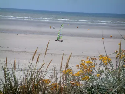 Hardelot-Plage