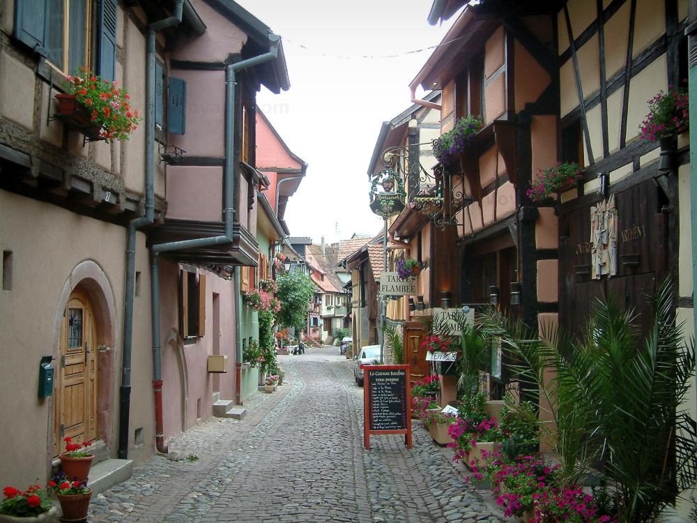 Guide du Haut-Rhin - Eguisheim - Ruelle pavée et fleurie avec des maisons à colombages ornées de plantes, de fleurs et de géraniums