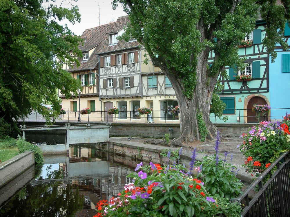 Guide du Haut-Rhin - Colmar - La Petite Venise : pont fleuri enjambant la rivière (la Lauch) et maisons à colombages aux façades colorées
