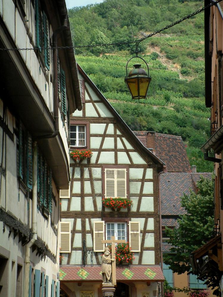 Guide du Haut-Rhin - Kaysersberg - Vignes surplombant les maisons à pans de bois du village