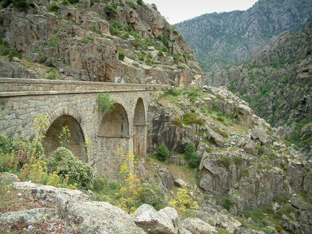 Guide de la Haute-Corse - Scala di Santa Regina - Gorges : fleurs sauvages, végétation, pont (route) et amas rocheux de granit