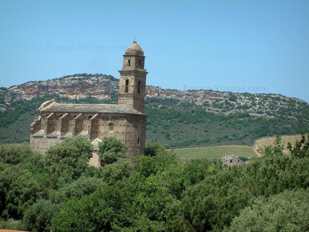 Guide de la Haute-Corse - Paysages de Corse intérieure - Église Saint-Martin de Patrimonio, arbres, champs de vignes et colline