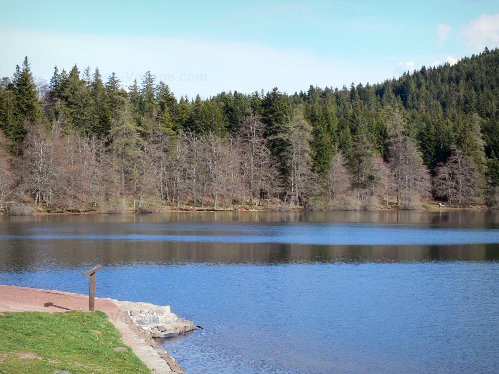Guide de la Haute-Loire - Paysages de la Haute-Loire - Lac du Bouchet dans un cadre boisé