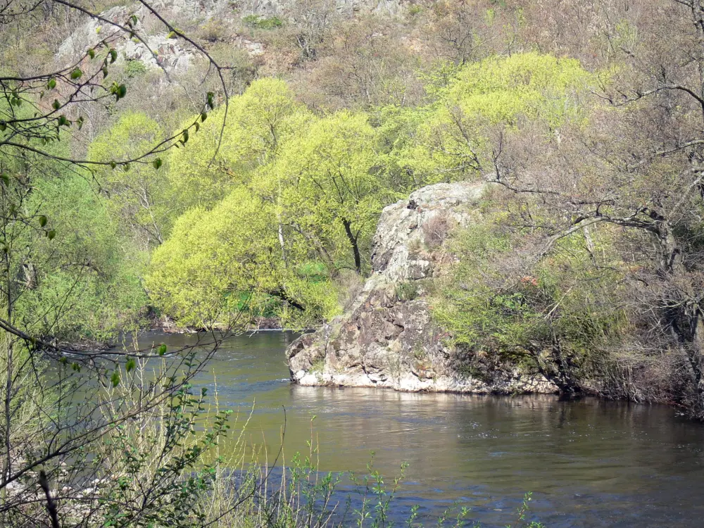 Guide of the Haute-Loire - Haute-Loire landscapes - Alagnon gorges: Alagnon river lined with trees