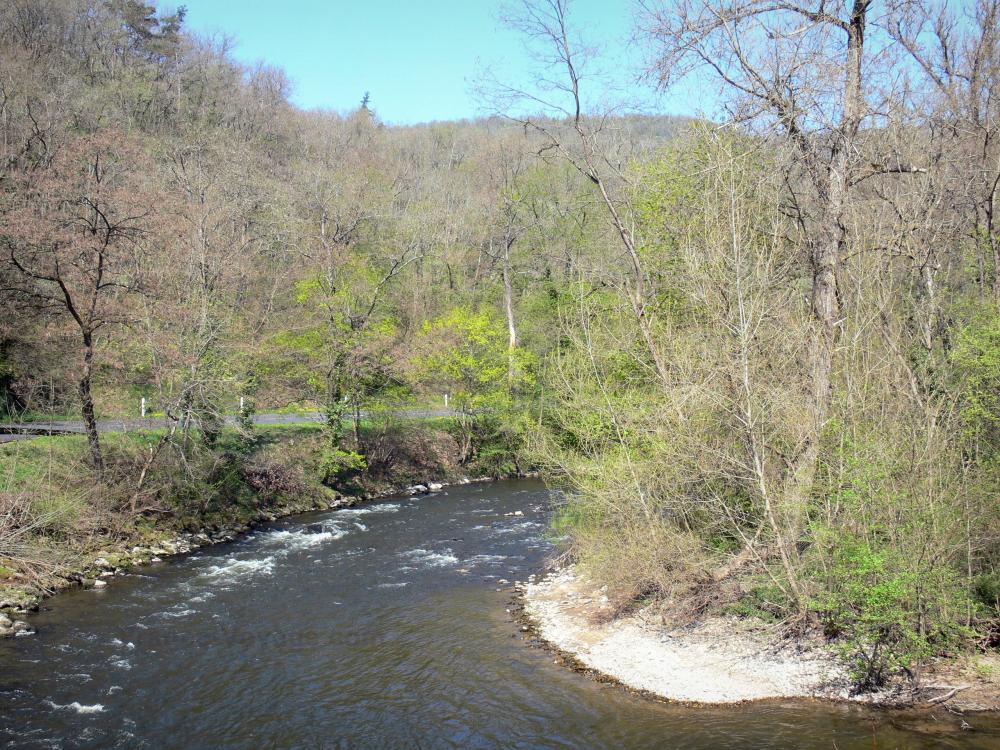 Guide de la Haute-Loire - Paysages de la Haute-Loire - Vallée de l'Alagnon : rivière Alagnon et arbres au bord de l'eau