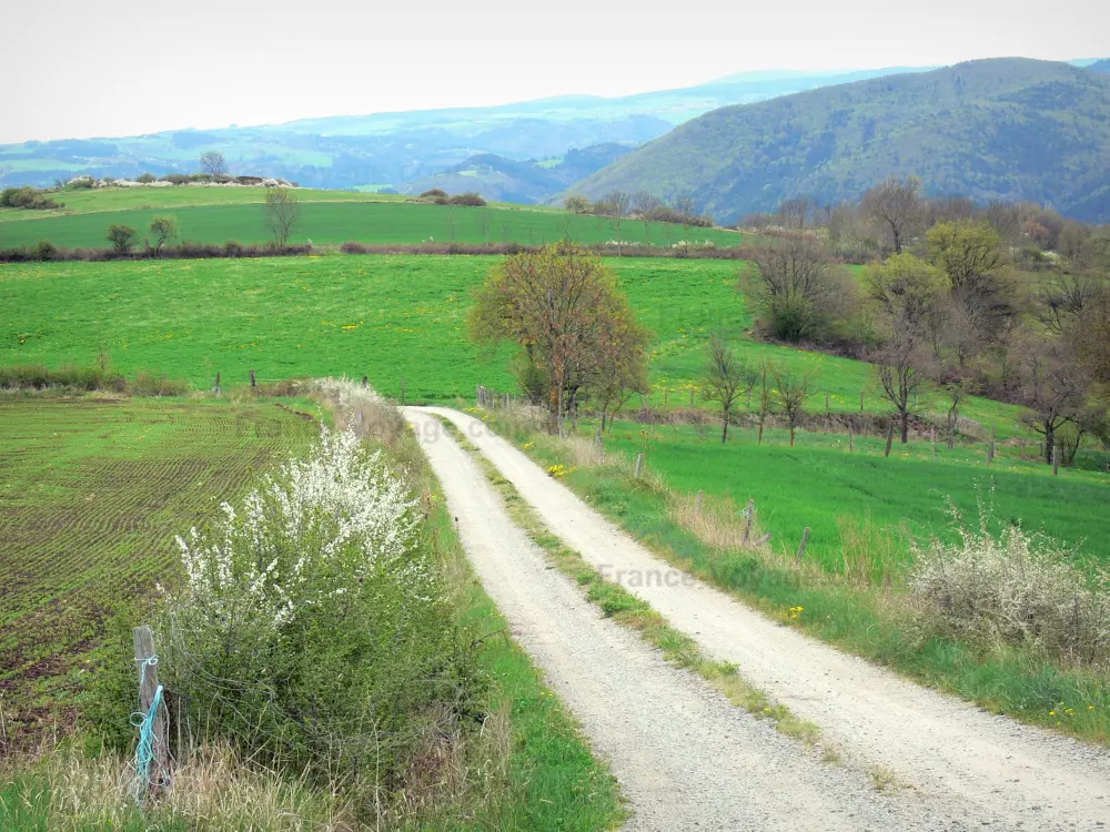 Guide of the Haute-Loire - Haute-Loire landscapes - Path lined with meadows