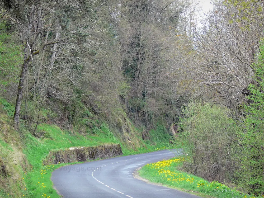 Guide of the Haute-Loire - Haute-Loire landscapes - Road of the Allier gorges lined with trees