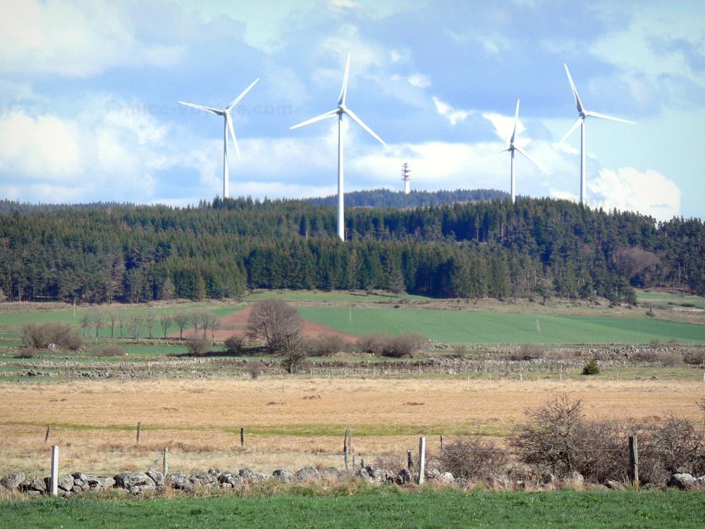 Guide de la Haute-Loire - Paysages de la Haute-Loire - Éoliennes dominant forêt et pâturages