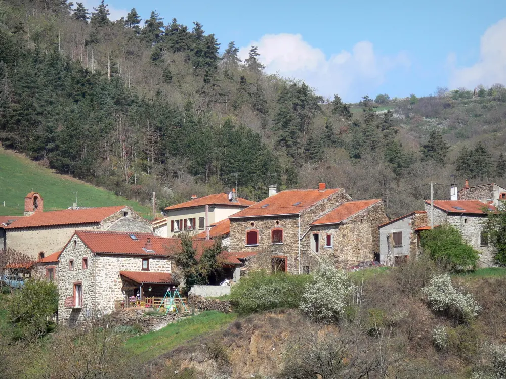 Guide of the Haute-Loire - Haute-Loire landscapes - Stone houses on the edge of the forest