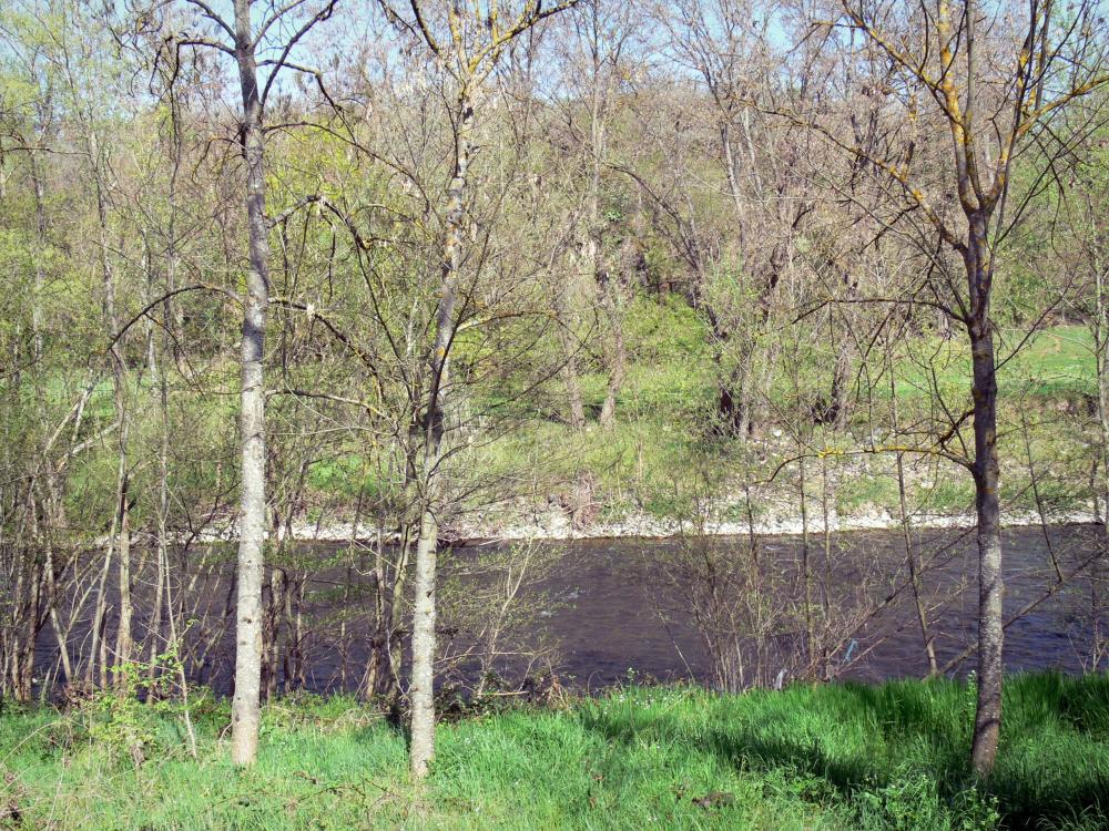 Guide de la Haute-Loire - Paysages de la Haute-Loire - Vallée de l'Alagnon : rivière Alagnon et arbres au bord de l'eau