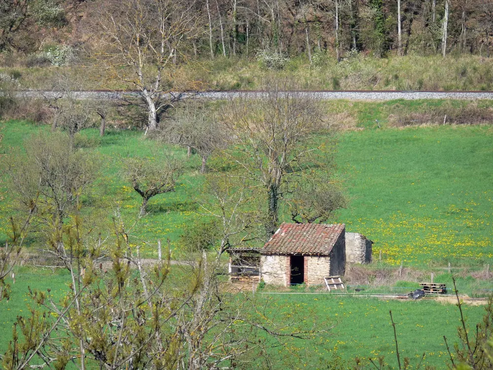 Guide of the Haute-Loire - Haute-Loire landscapes - Stone hut in the middle of a flowering meadow dotted with trees