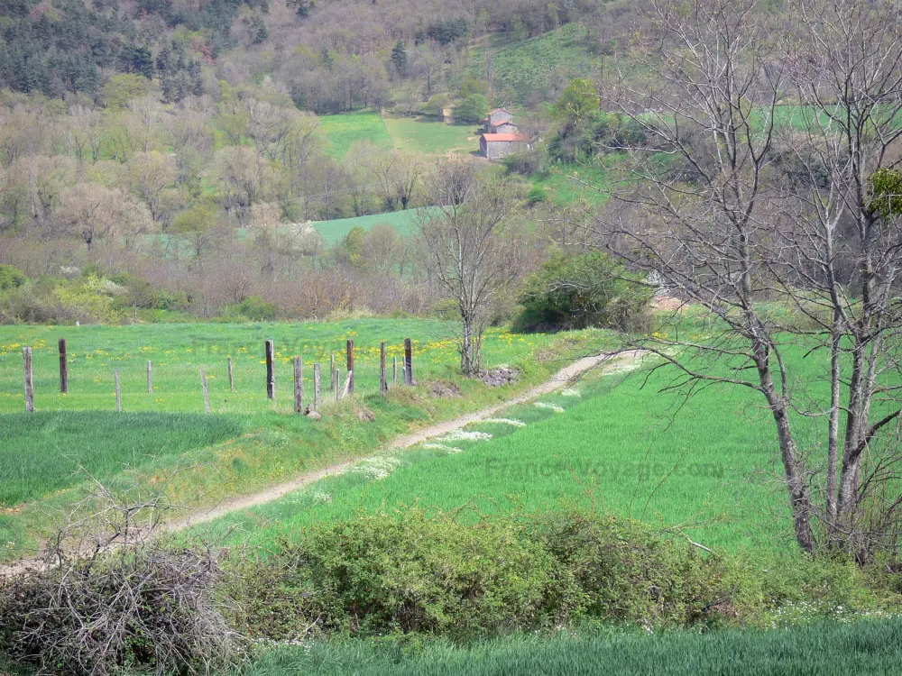 Guide of the Haute-Loire - Haute-Loire landscapes - Path bordered by meadows