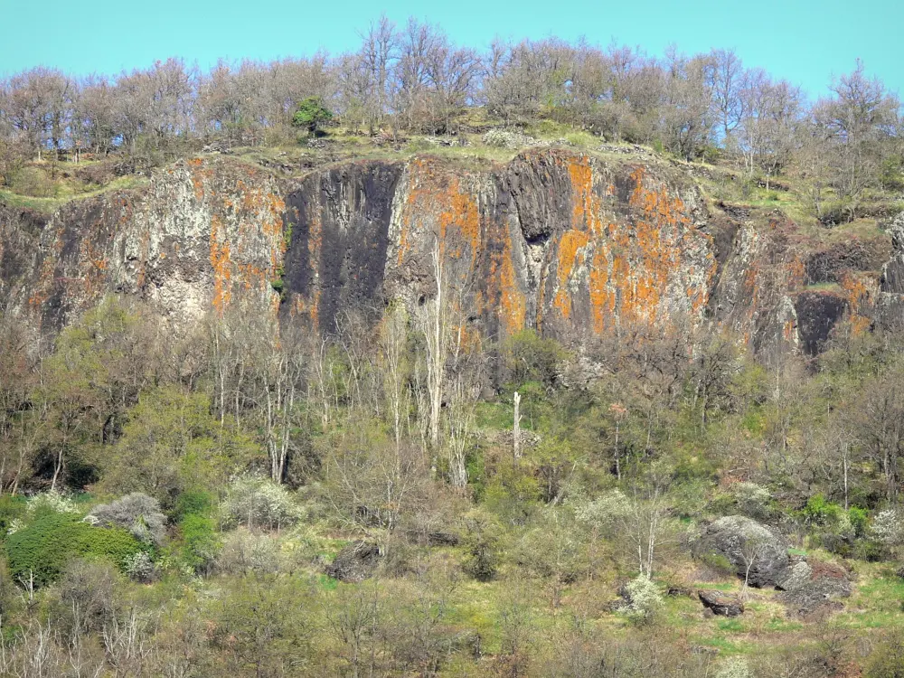 Guide of the Haute-Loire - Haute-Loire landscapes - Alagnon gorges: basalt organs of Blesle