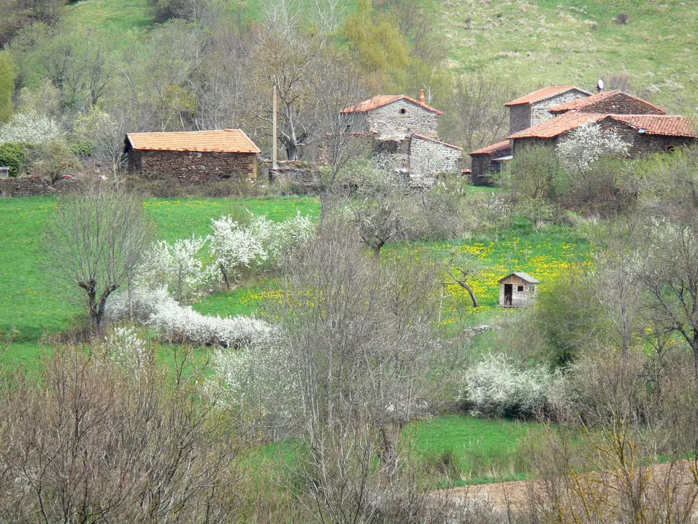 Guide of the Haute-Loire - Haute-Loire landscapes - Stone houses surrounded by trees and flowering meadows