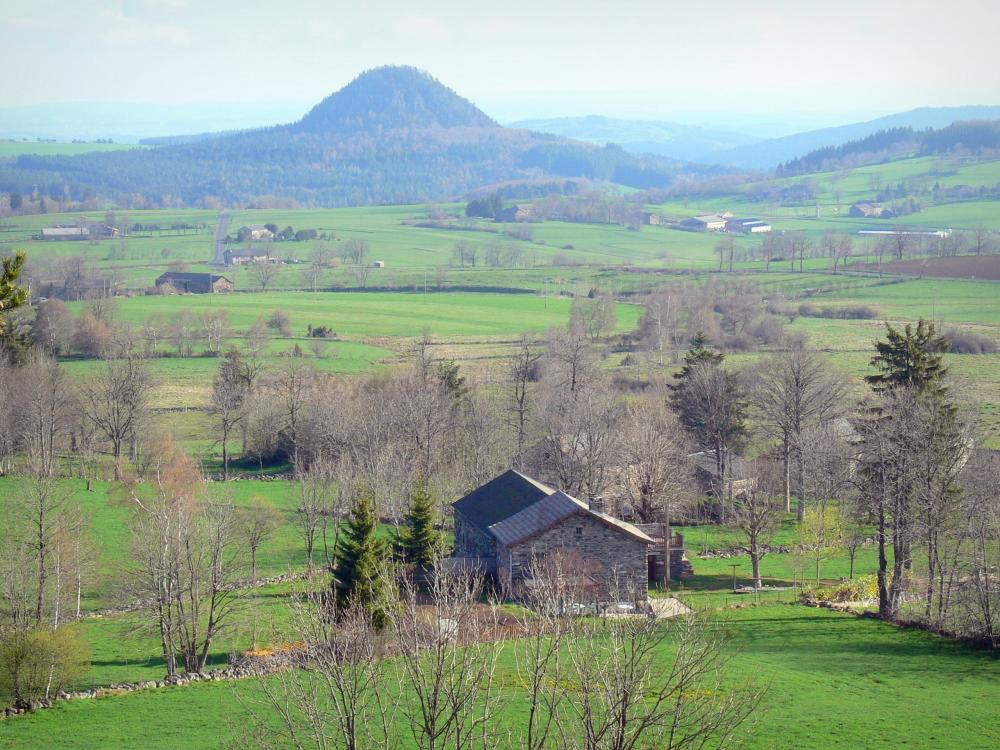Guide de la Haute-Loire - Paysages de la Haute-Loire - Maison en pierre entourée d'arbres et de pâturages