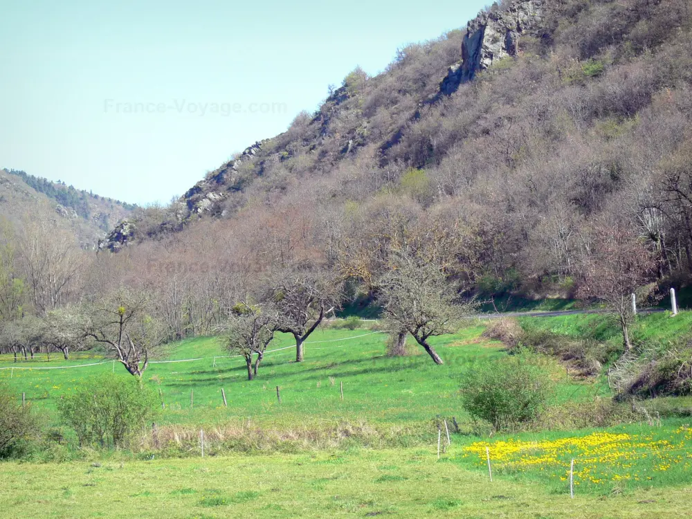 Guide of the Haute-Loire - Haute-Loire landscapes - Alagnon gorges: tree-lined pastures