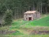 Haute-Loire landscapes - Stone cabin on the edge of the forest