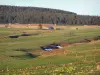 Haute-Loire landscapes - Monts d'Ardèche Regional Nature Park - Massif du Mézenc: farm surrounded by pastures, on the edge of the forest