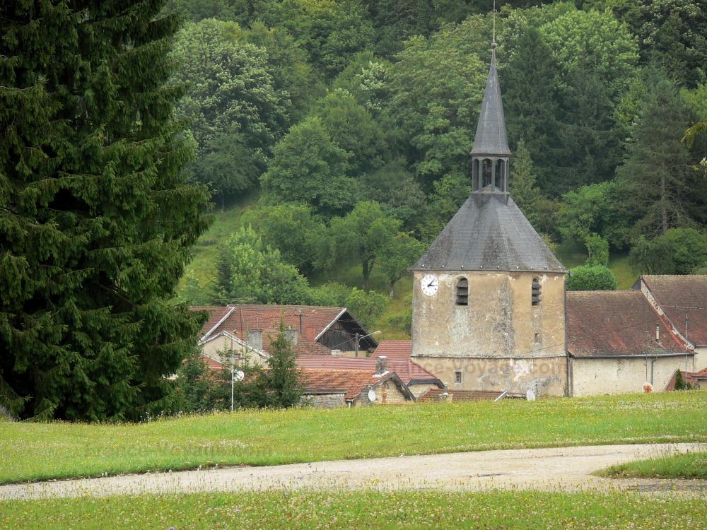 Guide de la Haute-Marne - Paysages de la Haute-Marne - Clocher de l'église Saint-Pierre-ès-Liens et toits de maisons du village de Cirey-sur-Blaise entourés de verdure ; dans la vallée de la Blaise
