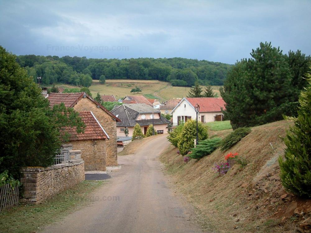 Guide de la Haute-Saône - Villages de Haute-Saône - Route bordée de maisons et forêt en arrière-plan