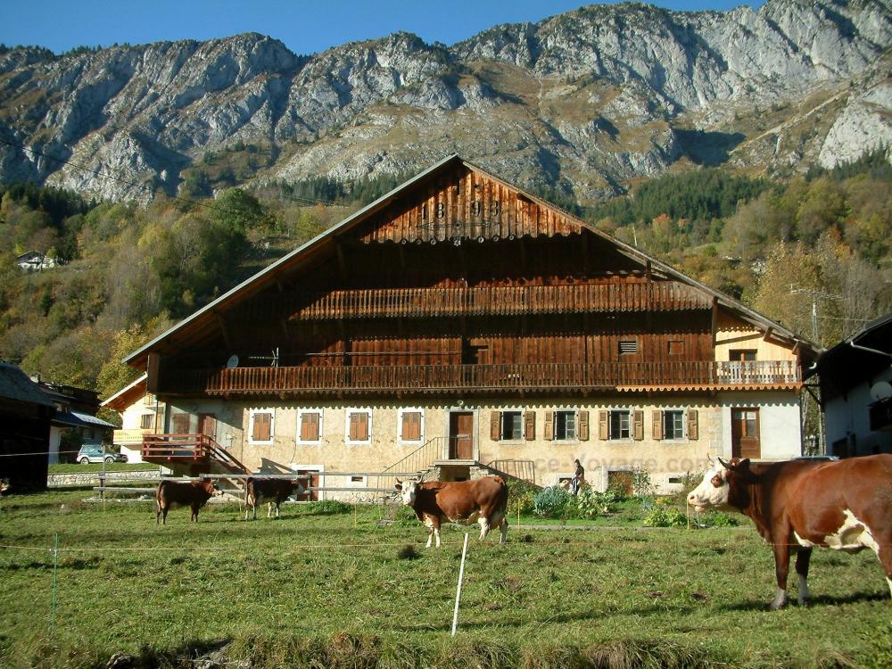 Guide de la Haute-Savoie - Chablais - Alpage (pâturage) avec des vaches Abondance, potager, chalet ancien aux balcons de bois, forêt et montagne (massif), dans le Haut-Chablais