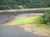 Haute Vallée de la Dordogne - Rivière Dordogne et ses rives boisées