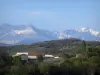 Hautes-Alpes的风景 - 树木和山脉环绕的农场
