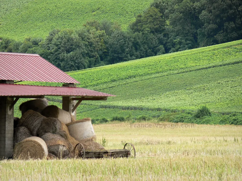 Gids van Hauts-de-France - Landschappen van Picardie - Strobalen in een veld