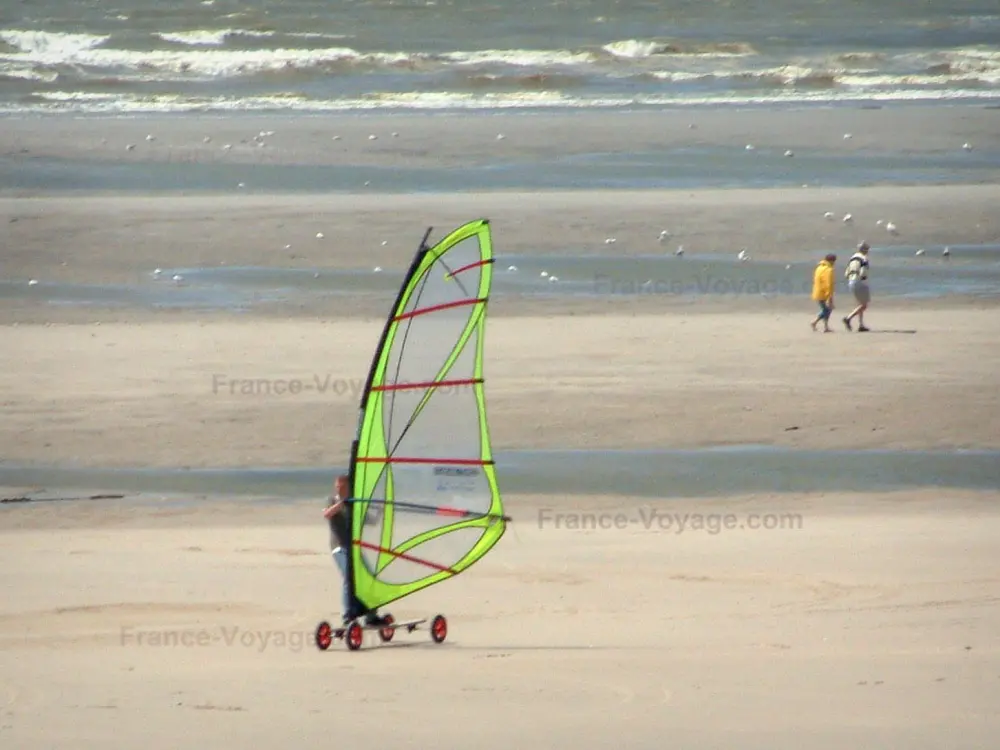 Guide of Hauts-de-France - Hardelot-Plage - Opal Coast: sandy beach with someone speed-sailing (windsurfing board with wheels), two walkers, gulls and the Channel (sea); in the Regional Nature Park of Opal Capes and Marshes