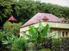 Hell-Bourg - Creools Huis in een groene omgeving