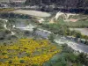 Guia do Hérault - Paisagens do Languedoc - Rio, arbustos, flores de vassoura, árvores e vinhas, no Parque Natural Regional de Haut-Languedoc