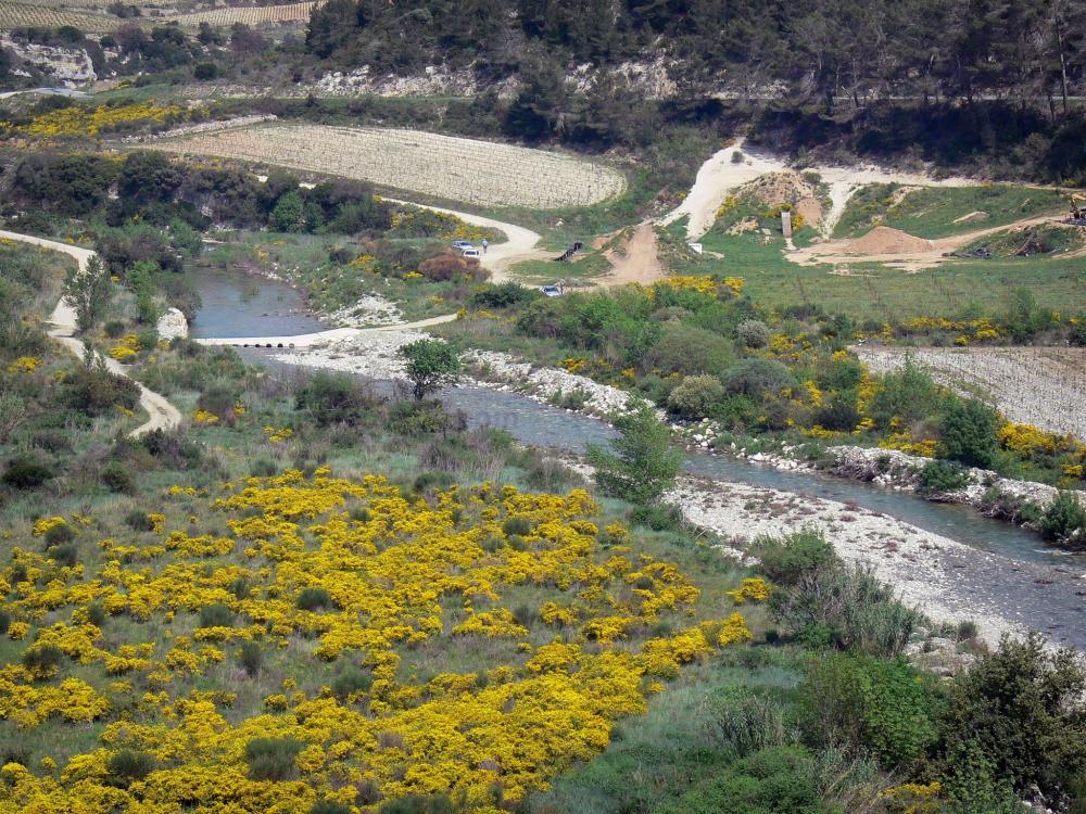 Guide de l'Hérault - Paysages du Languedoc - Rivière, arbustes, genêts en fleurs, arbres et champs de vignes, dans le Parc Naturel Régional du Haut-Languedoc